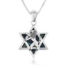 Sterling Silver Eilat Stone Star of David Unisex Pendant with Lion of