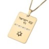 Luxury Thickness Am Yisrael Chai and Star of David Dog Tag Necklace -