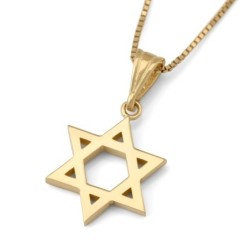 Collier pendentif unisexe petite étoile de David en or 14 carats