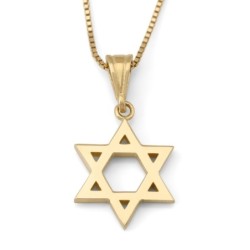 14K Gold Small Star of David Unisex Pendant Necklace