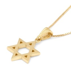 14K Gold Small Star of David Unisex Pendant Necklace