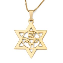 Unisex Star of David and Am Yisrael Chai Necklace - Silver or Gold Pla
