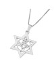 Unisex Star of David and Am Yisrael Chai Necklace - Silver or Gold Pla