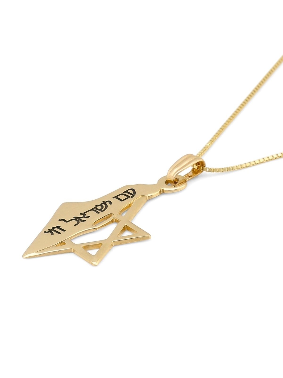 Carte d'Israël en or 14 carats et pendentif étoile de David avec Am Yisrael Chai