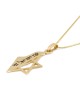 Collier carte d'Israël et étoile de David avec Am Yisrael Chai - Argent