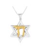 Sterling Silver Star of David Pendant Necklace with Gold Plated Chai
