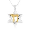 Sterling Silver Star of David Pendant Necklace with Gold Plated Chai