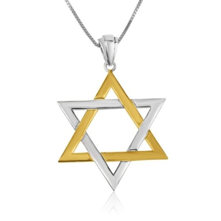 Star of David Interlocking Sterling Silver and Gold Plated Necklace Pe