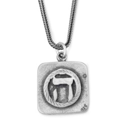Fruitful & Prosperous: Silver Medallion Necklace for Men