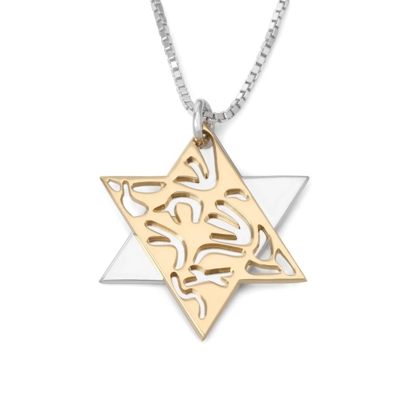 Collier étoile de David plaqué or et argent sterling Shema Yisrael