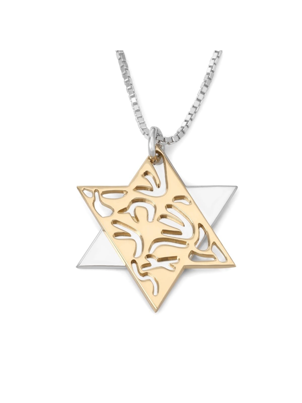 Shema Yisrael Sterling Silver and Gold Plated Star of David Necklace