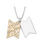 Shema Yisrael Sterling Silver and Gold Plated Star of David Necklace