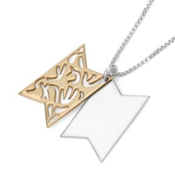 Shema Yisrael Sterling Silver and Gold Plated Star of David Necklace