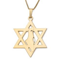 Star of David Pendant with Map of Israel - Silver or Gold-Plated Optio