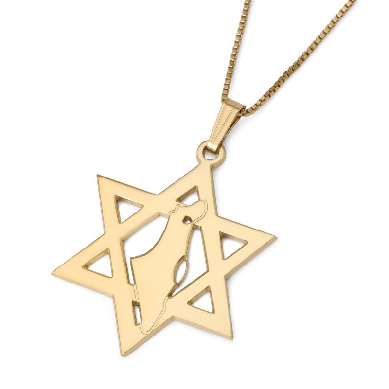 Pendentif Étoile de David avec Carte d'Israël - Optio Argent ou Plaqué Or