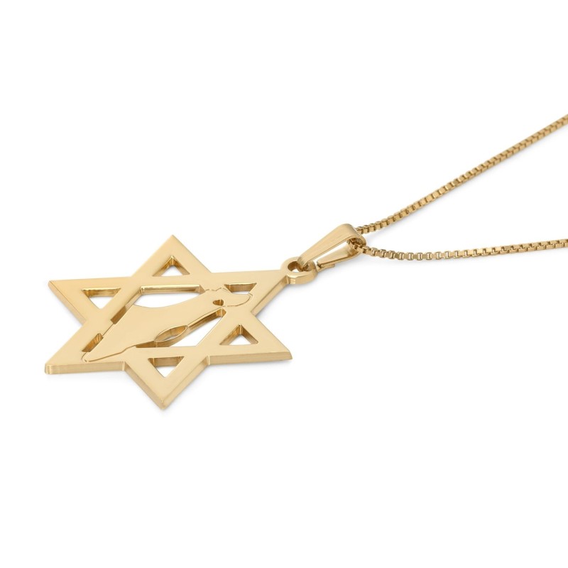 Pendentif Étoile de David avec Carte d'Israël - Optio Argent ou Plaqué Or
