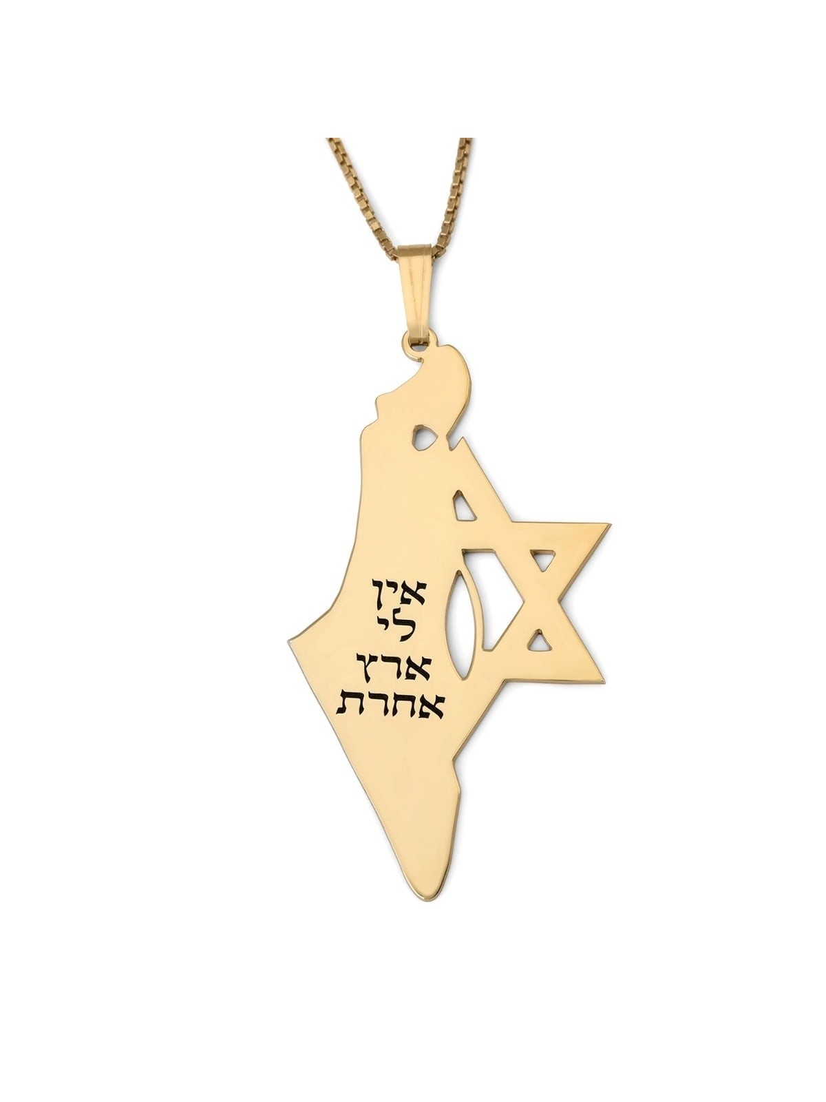 Luxury Thickness No Other Land Map of Israel Necklace with Star of Dav