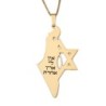 Luxury Thickness No Other Land Map of Israel Necklace with Star of Dav