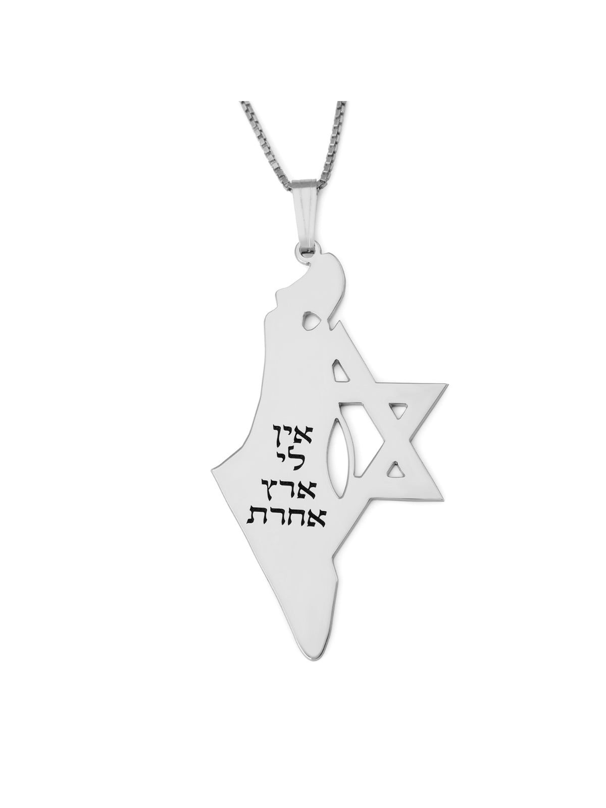 Luxury Thickness No Other Land Map of Israel Necklace with Star of Dav