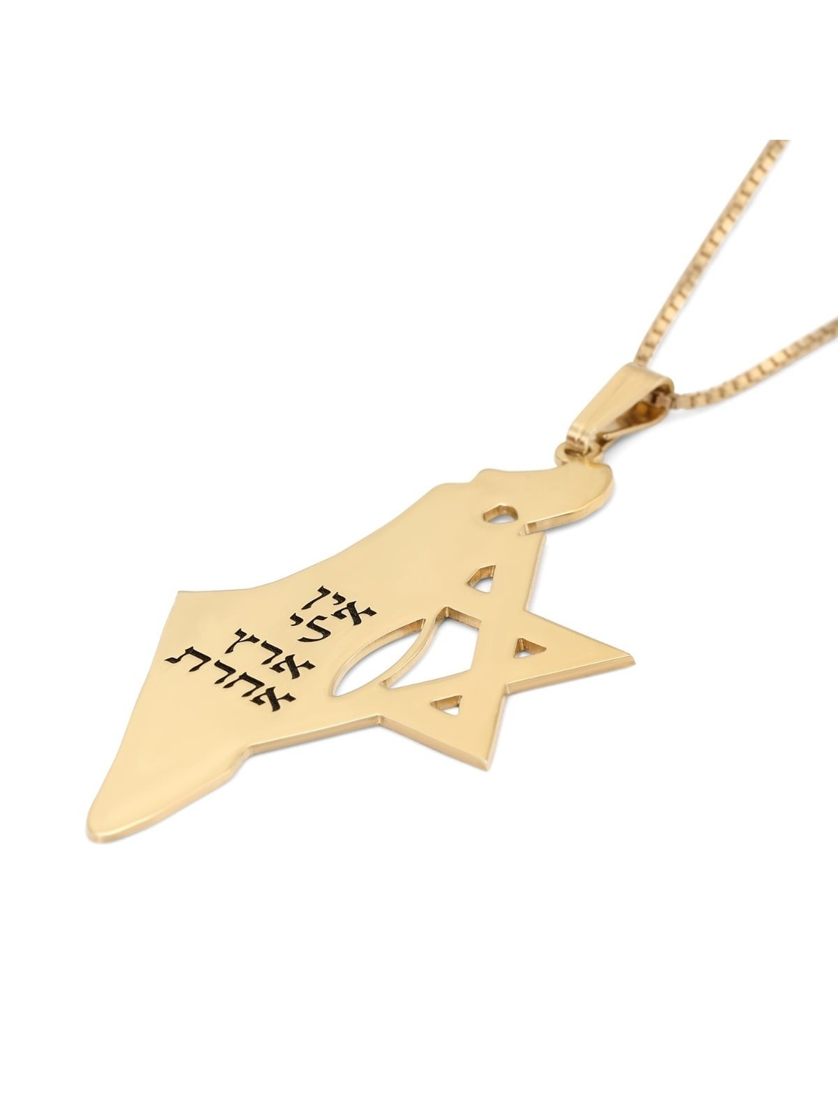 Luxury Thickness No Other Land Map of Israel Necklace with Star of Dav