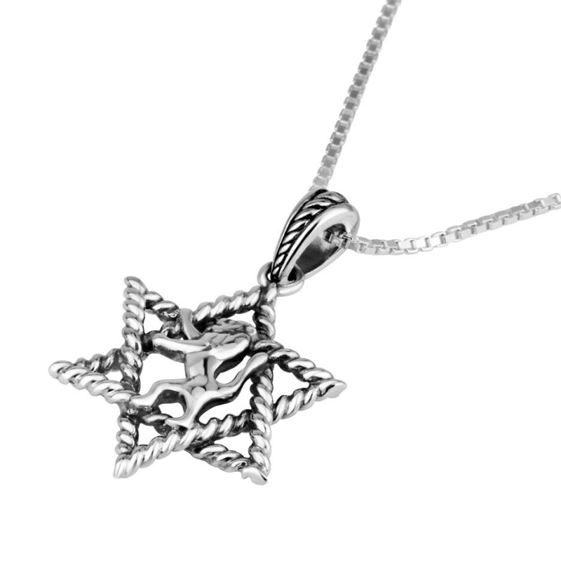 Sterling Silver Star of David with Lion of Judah Necklace Pendant