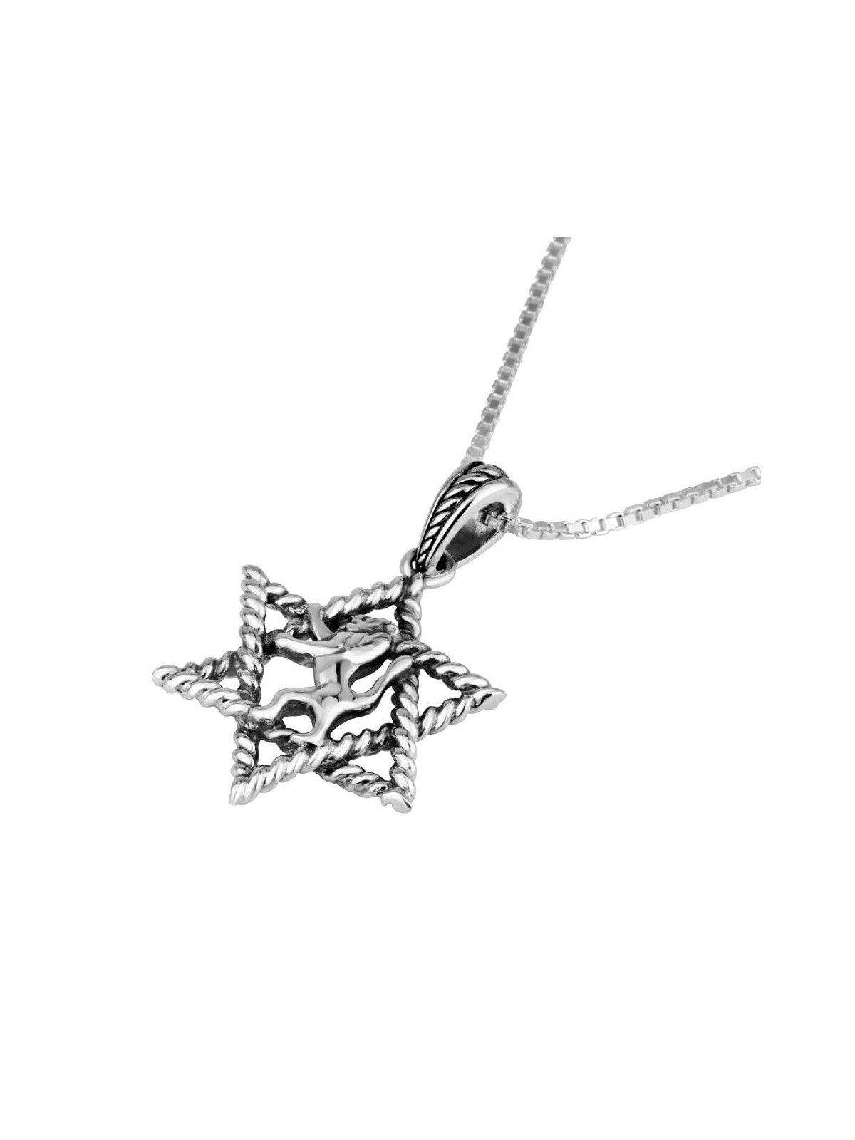 Sterling Silver Star of David with Lion of Judah Necklace Pendant
