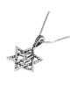 Sterling Silver Star of David with Lion of Judah Necklace Pendant