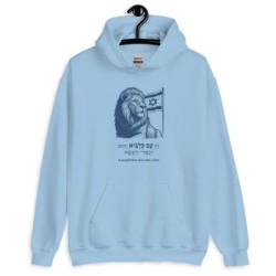 A People that Rises Like a Lion - Israeli Flag Hoodie