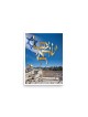 Am Israel Chai and Kotel Poster