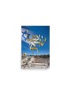 Am Israel Chai and Kotel Poster