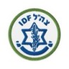 IDF / Israel Army Embroidered Patch
