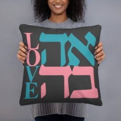 Decorative Ahava / Love Gray Pillow