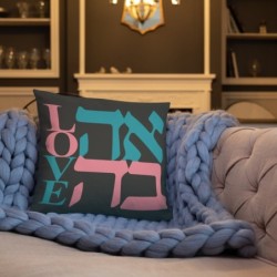 Decorative Ahava / Love Gray Pillow