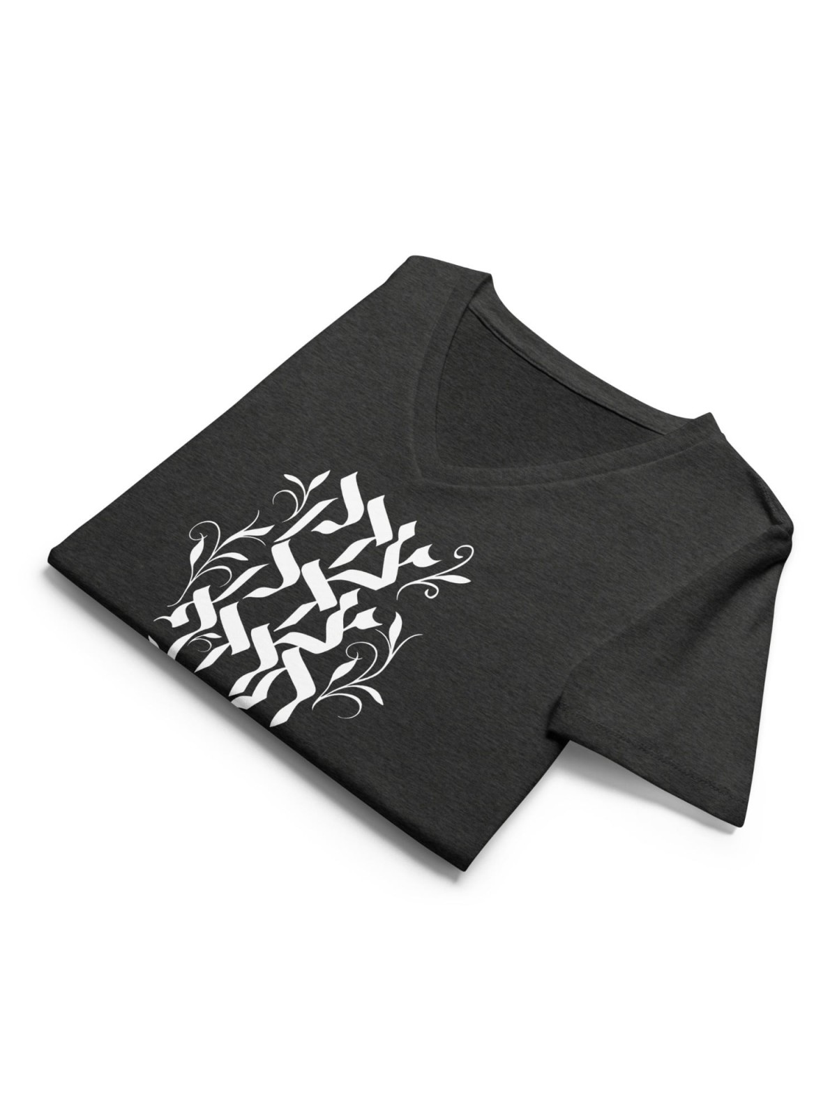 Justice, Justice Shall You Pursue Women's V-Neck T-Shirt