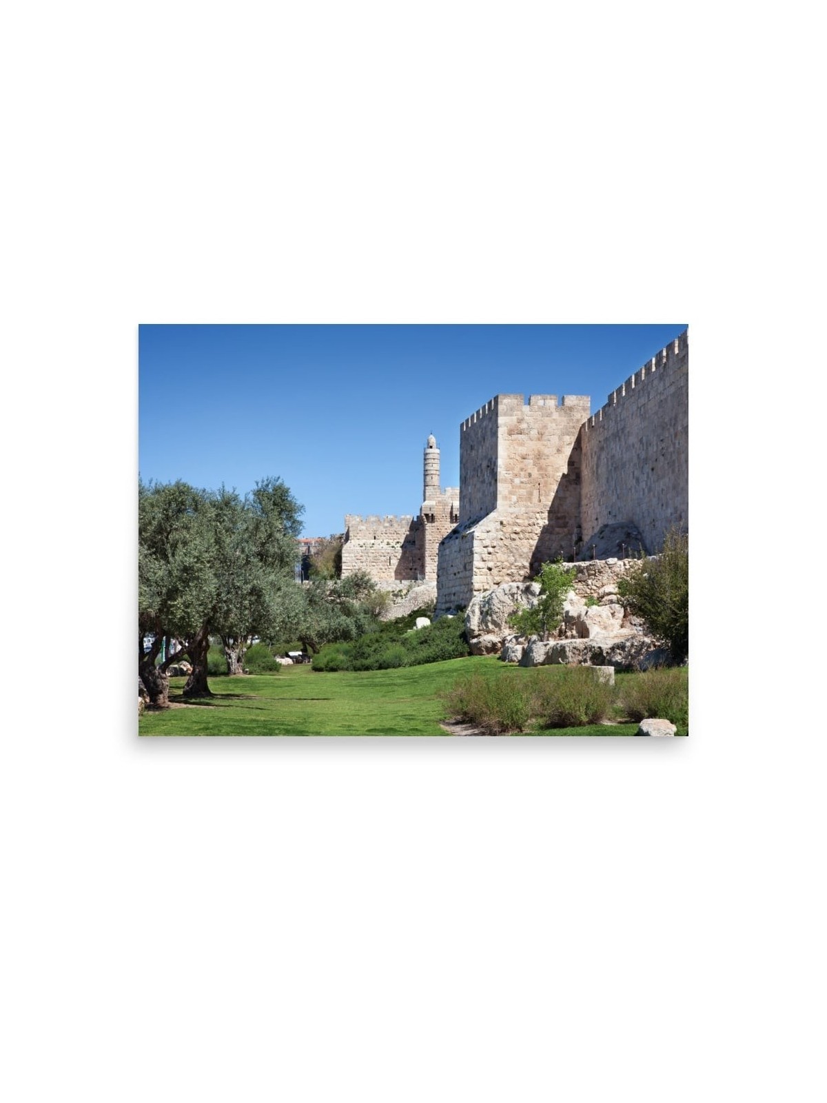 Old City of Jerusalem and Tower of David Photograph Poster