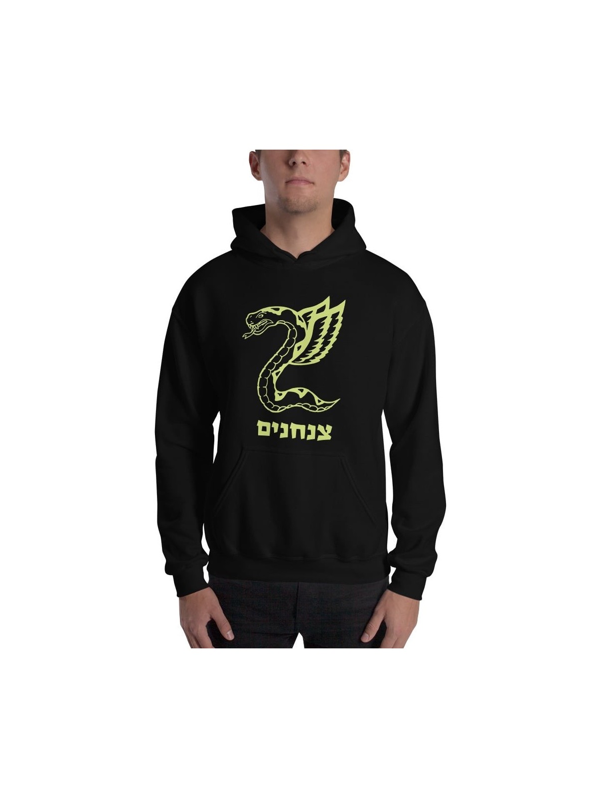 Israel Defense Forces - Paratroopers Insignia Hoodie
