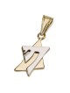 14K Gold Star of David & Chai Fusion Pendant