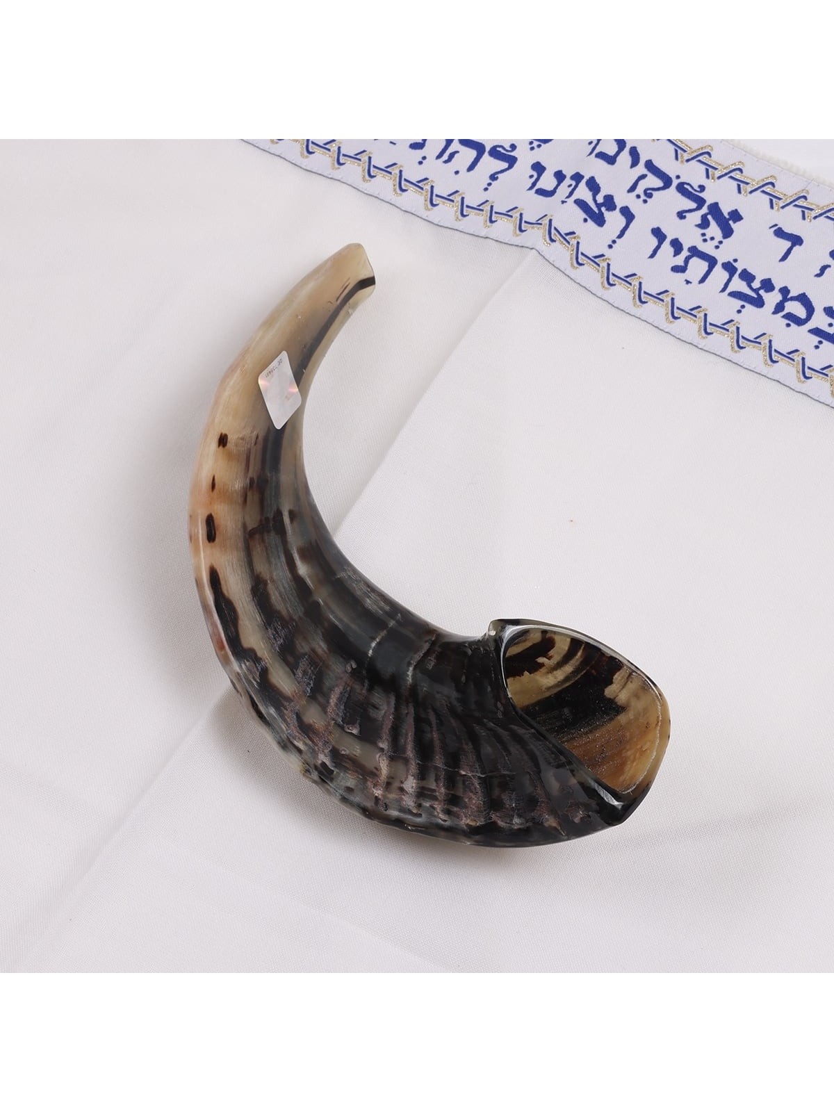 Kosher Classic Natural Ram's Horn Shofar 10'-12' / 25-30 cm
