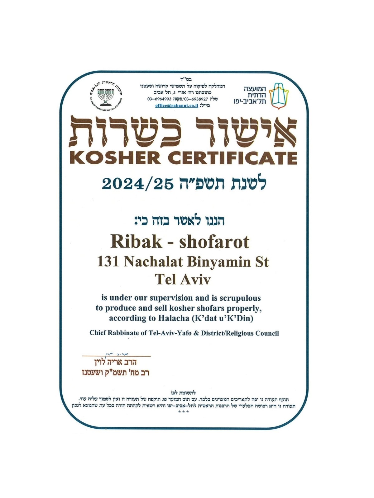 Kosher Classic Natural Ram's Horn Shofar 10'-12' / 25-30 cm