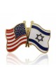 America - Israel Friendship Enamel Metal Lapel Pin