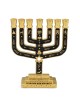 Tribes of Israel Gold Plated 7-Branched Menorah with Star of David