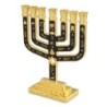 Tribes of Israel Gold Plated 7-Branched Menorah with Star of David