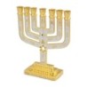 Tribes of Israel Gold Plated 7-Branched Menorah with Star of David