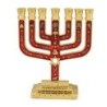 Tribes of Israel Gold Plated 7-Branched Menorah with Star of David