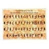 Interactive Ancient Hebrew Script and Rashi Letters Educational Wooden