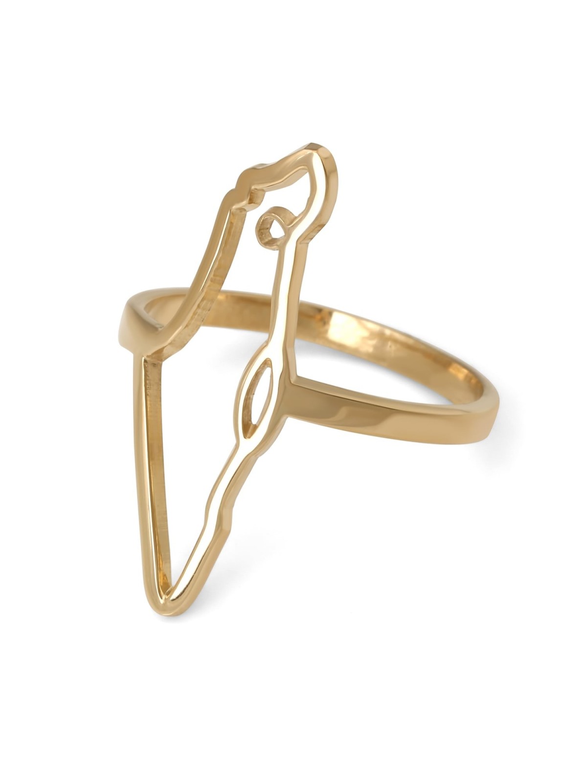 Land of Israel Ring - Silver or Gold-Plated Option