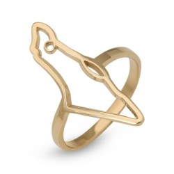 Land of Israel Ring - Silver or Gold-Plated Option