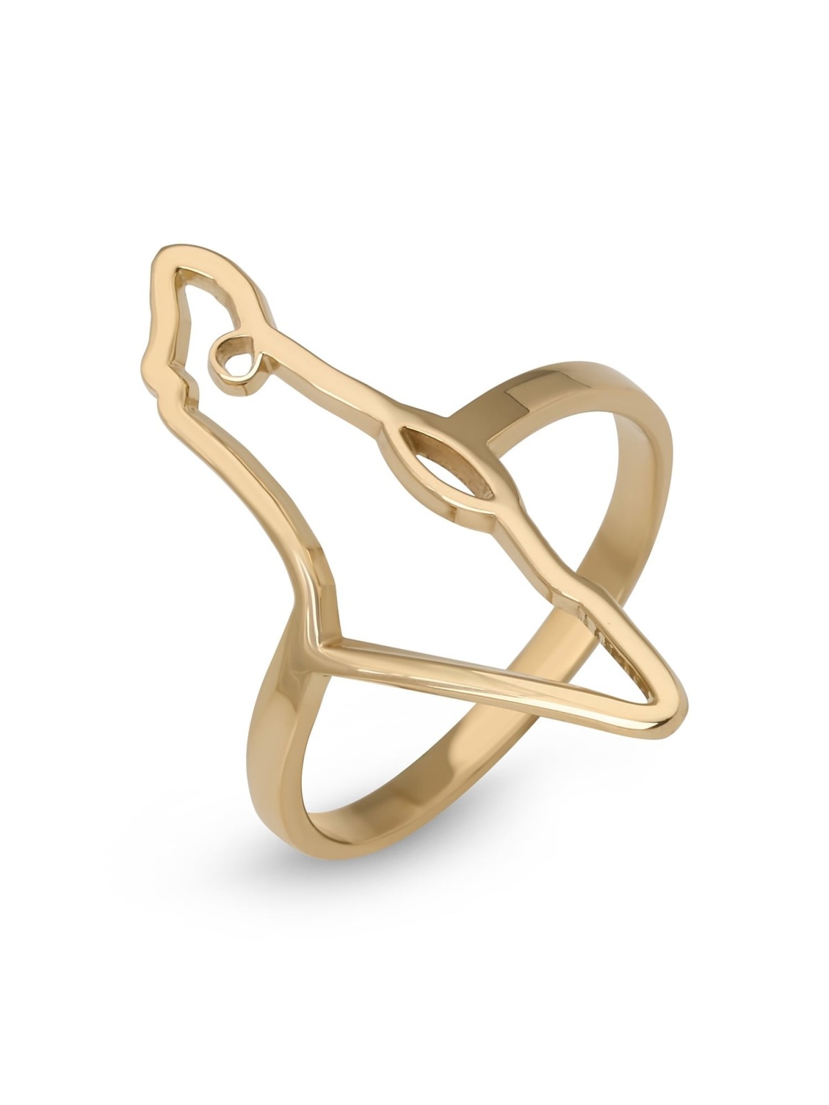 Land of Israel Ring - Silver or Gold-Plated Option