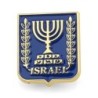 Seal Of Israel Enamel Metal Lapel Pin