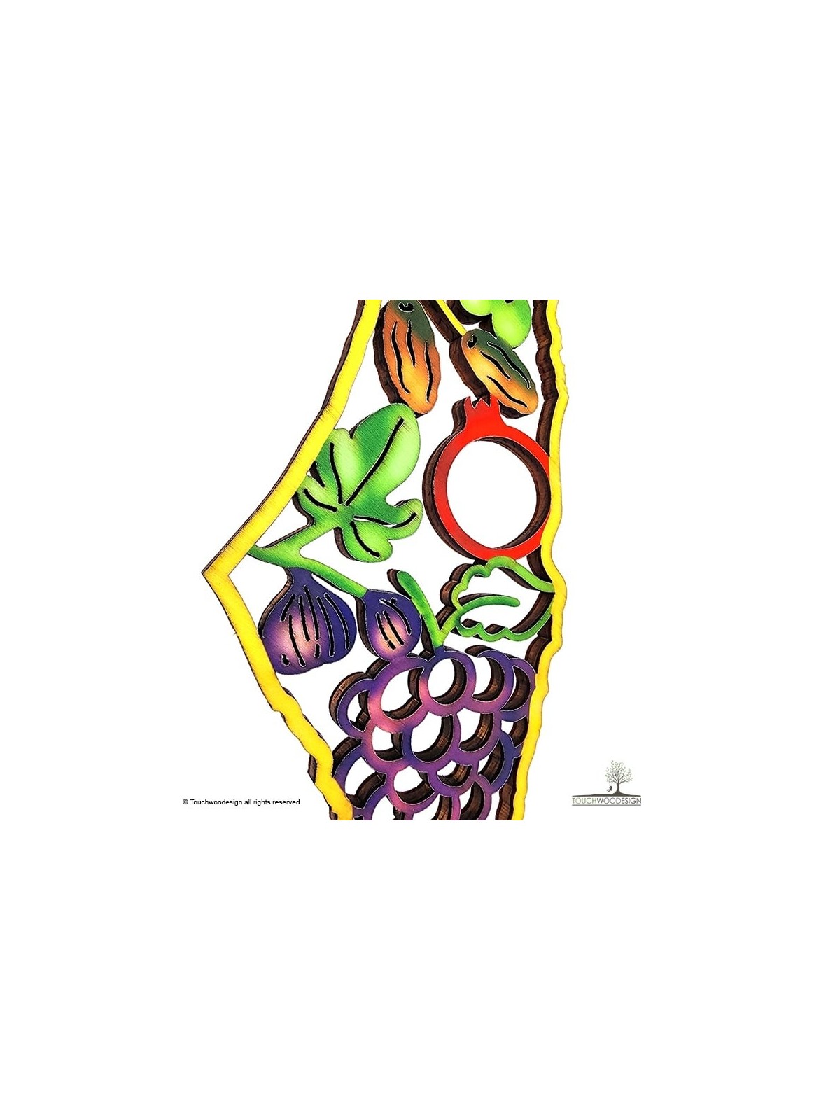 Colored Wooden DIY Seven Species Map of Israel Puzzle